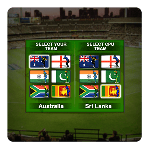Cricket Batter screenshot